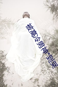 被高冷男神*到哭