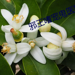 邪王嗜(shì)宠(chǒng)鬼医狂(kuáng)妃