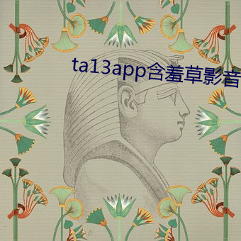 ta13app怕羞(羞)草影音