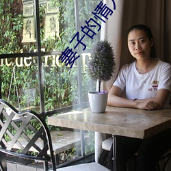 金年会(中国)官方网站