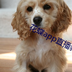 AG真人平台(中国)官方网站