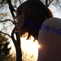 阿(ā)飞正传小说