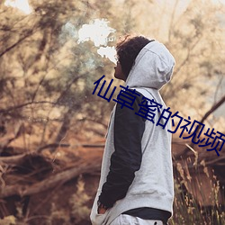仙草(cǎo)蜜的视频(pn)