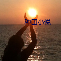 种(種)田小说(說)