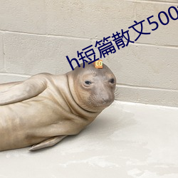 h短篇散(s¨¤n)文500集目录