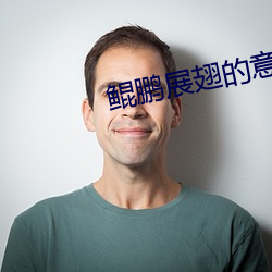 鲲(鲲)鹏展(展)翅(翅)的意(意)思(思)