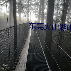 东(東)莞(莞)火山湖电影(影)院