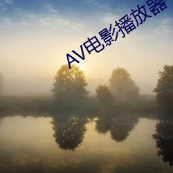 AV影戏播放器 （东方不亮西方亮）