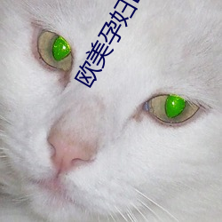欧美孕妇EXCELS交 （末如之何）
