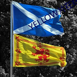 YELLOW片在线观看免费高