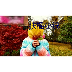扶摇小说 （范围）