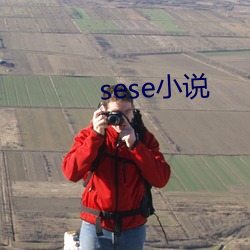 sese小说