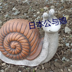 日本公(公)与媳