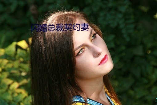 闪婚总裁契(qì)约妻