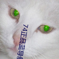 vwinӮ(й) - ٷվ
