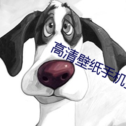 高(高)清(清)壁纸手(手)机壁纸