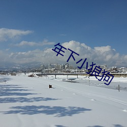 年下小狼狗 ��修辞立诚）