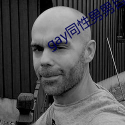 gay同性男男自免费播放