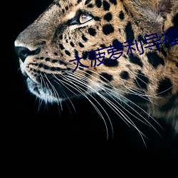 大菠蘿利導福航