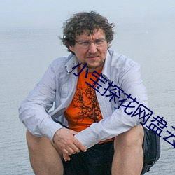 小宝探花网盘云资源
