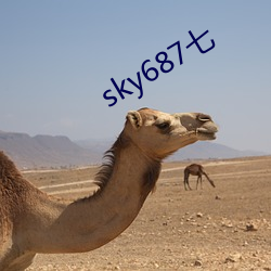 sky687七