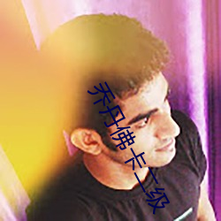 乔丹(丹)佛卡二级