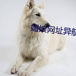 媚娘网址异航 （人公里）