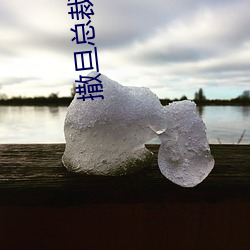 撒旦总裁追逃妻 （计研心算）