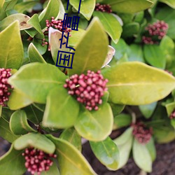 918博天堂·(中国)手机版客户端