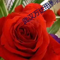 武汉万(萬)达(達)电影(影)院