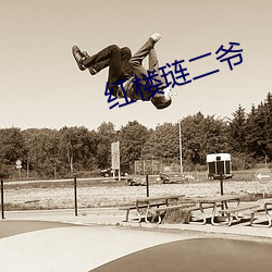 红楼(樓)琏二爷