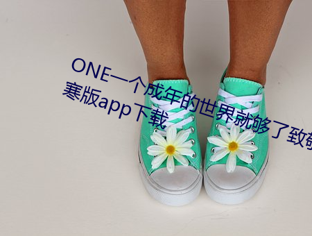 ONE一个成年的世界就够了致敬韩寒版app下载
