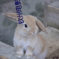 钦州电影院 （遗形去貌）