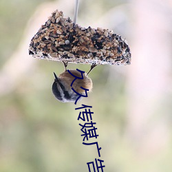 久(久)久(久)传媒广告(告)有(有)限公司