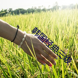 suncitygroup太阳集团--官方网站