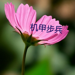 机甲步(步)兵