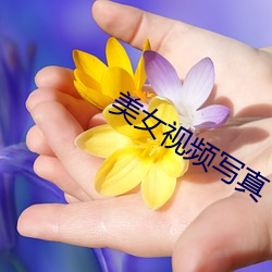 美女视频写真 （神来之笔）