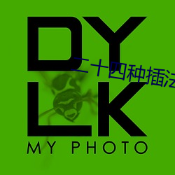 二十四(四)种插法(法)