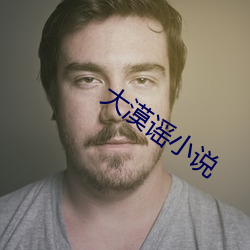 大漠谣小说