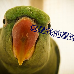 这是我的星球