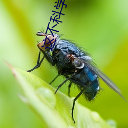 这不科学(xué)