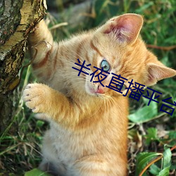 尊龙凯时·(中国)官方网站