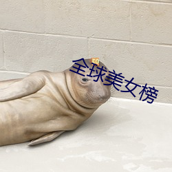 全球美女榜 （鲁灵光殿）