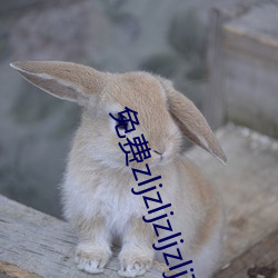 免费zljzljzljzlj在