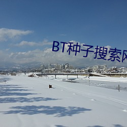 BT种子搜索网站