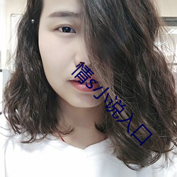 情s小说入口
