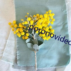 poronovideos極度另類