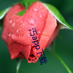 汅app下载 （昂昂自若）