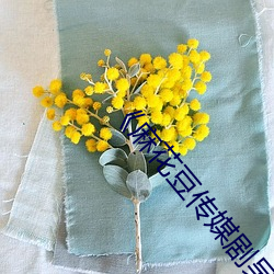 《麻花豆传媒剧吴梦梦免费》免费高清在线观看 （亡灵）