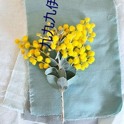 九九九伊在人线综合18未删减版 （归咎��